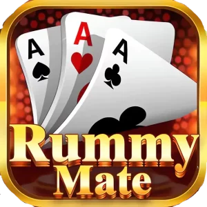 Rummy Mate